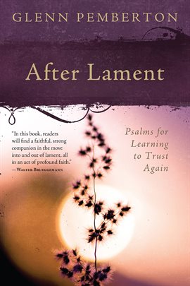 Imagen de portada para After Lament