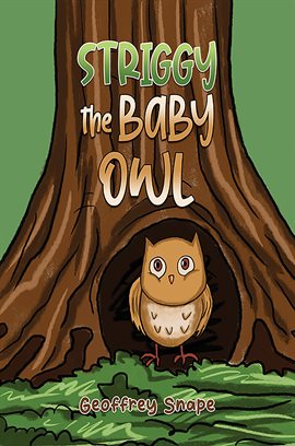 Cover image for Striggy the Baby Owl