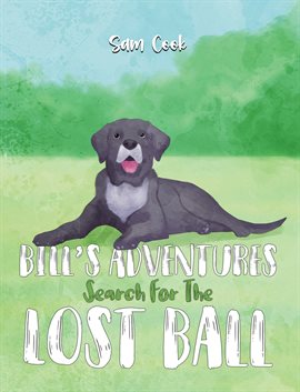 Imagen de portada para Bill's Adventures: Search for the Lost Ball
