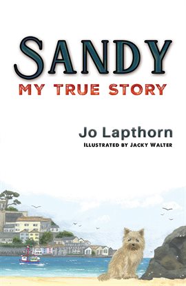 Cover image for Sandy