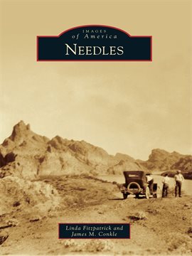 Cover image for Needles