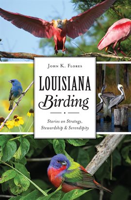 Cover image for Louisiana Birding