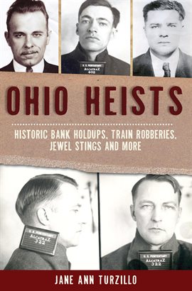Cover image for Ohio Heists