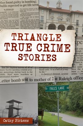 Cover image for Triangle True Crime Stories