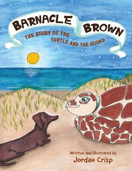 Cover image for Barnacle Brown