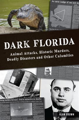 Cover image for Dark Florida