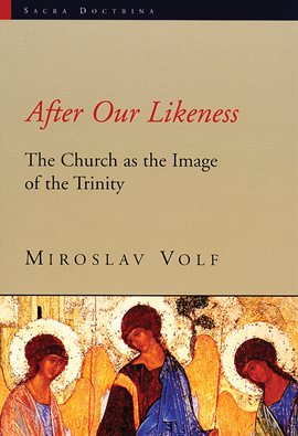 Cover image for After Our Likeness