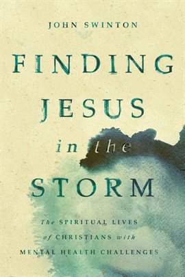 Cover image for Finding Jesus in the Storm
