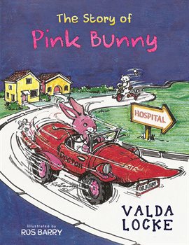 Cover image for The Story of Pink Bunny