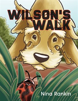 Cover image for Wilson's Walk
