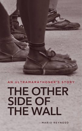 Cover image for The Other Side of the Wall