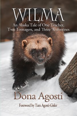 Cover image for Wilma
