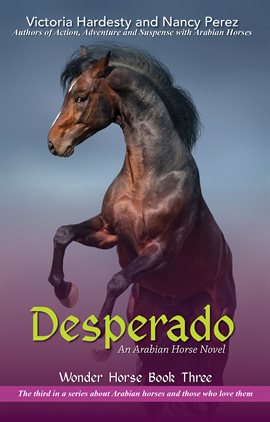 Cover image for Desperado