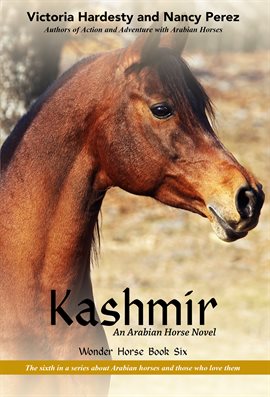 Cover image for Kashmir