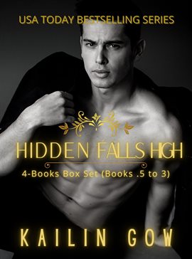 Cover image for Hidden Falls High Box Set