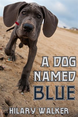 Cover image for A Dog Named Blue
