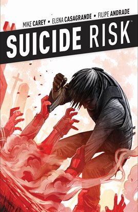 Cover image for Suicide Risk Vol. 4