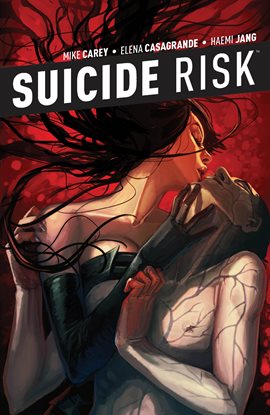 Cover image for Suicide Risk Vol. 5