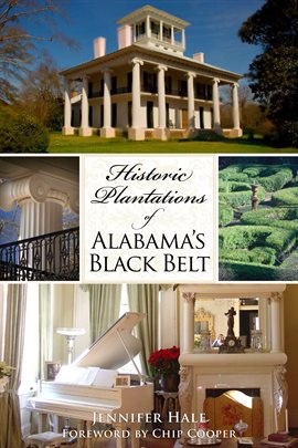 Cover image for Historic Plantations of Alabama's Black Belt