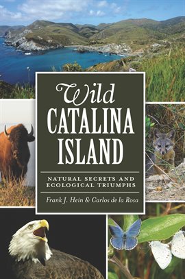 Cover image for Wild Catalina Island