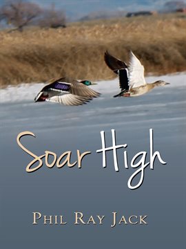 Cover image for Soar High