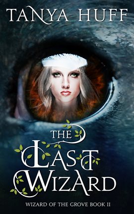 Imagen de portada para The Last Wizard