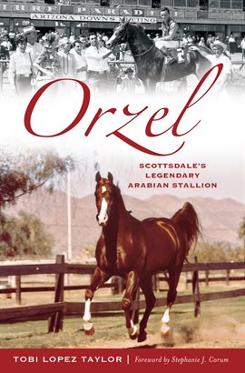 Cover image for Orzel
