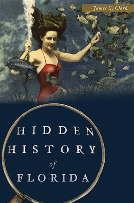 Cover image for Hidden History of Florida