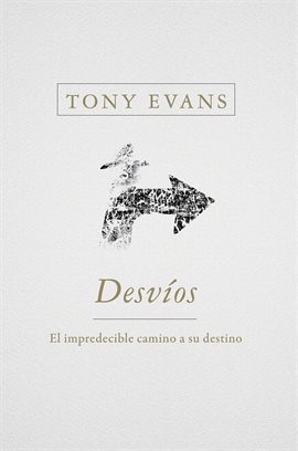 Cover image for Desvíos