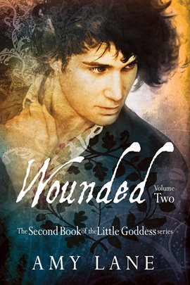 Cover image for Wounded, Volume Two