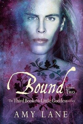 Cover image for Bound, Vol. 2