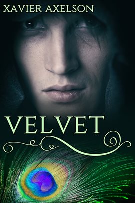 Cover image for Velvet