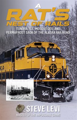 Cover image for A Rat's Nest of Rails