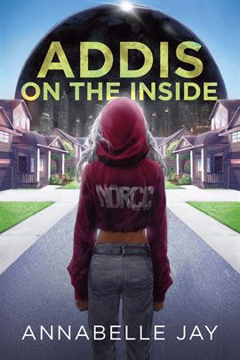 Cover image for Addis on the Inside