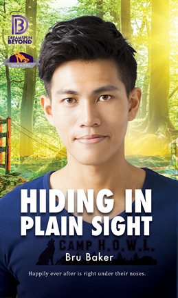Cover image for Hiding In Plain Sight