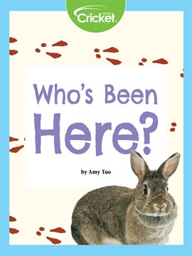 Cover image for Who's Been Here?