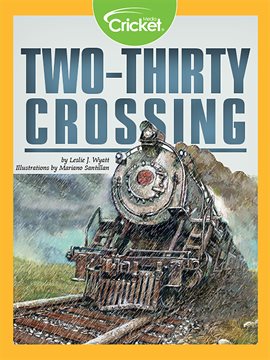 Cover image for Two-Thirty Crossing