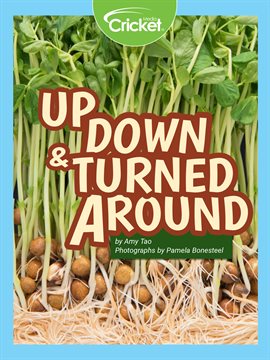 Cover image for Up, Down and Turned Around