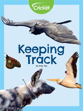 Cover image for Keeping Track