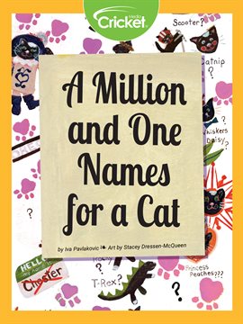 Cover image for A Million and One Names for a Cat