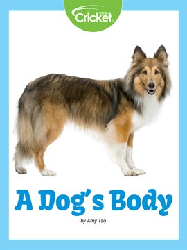 Cover image for A Dog's Body
