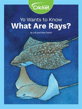 Cover image for Yo Wants to Know: What Are Rays?