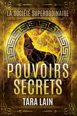 Cover image for Pouvoirs secrets