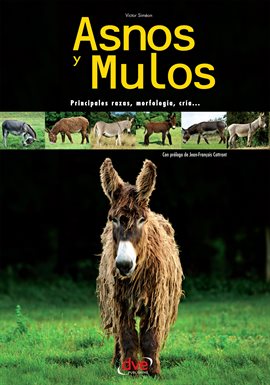 Cover image for Asnos y mulos