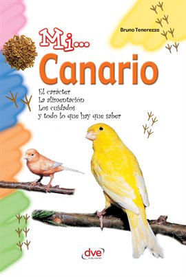 Cover image for Mi... Canario