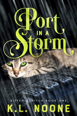 Cover image for Port in the Storm