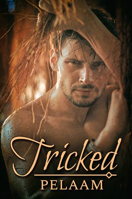 Cover image for Tricked