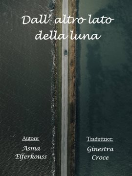 Cover image for Dall' altro lato della luna