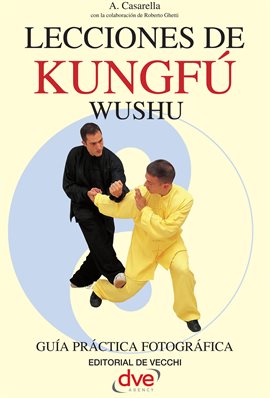 Cover image for Lecciones de Kung Fu