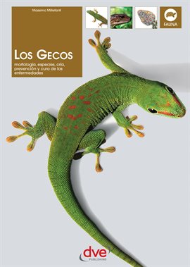 Cover image for Los gecos